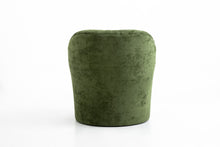 Cargar imagen en el visor de la galería, Camelia